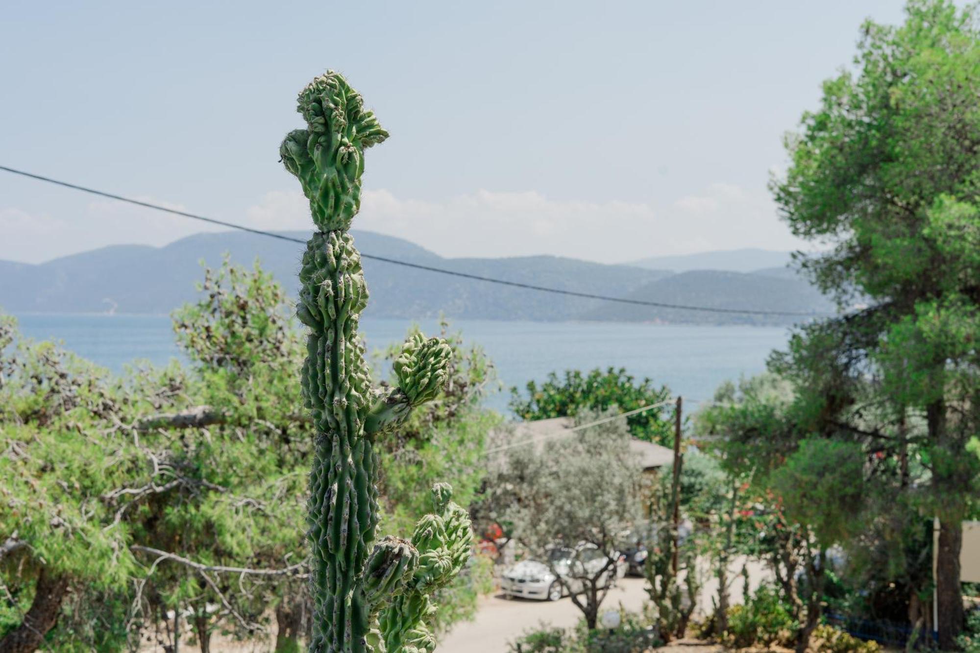 Hotel Korfos - Ξενοδοχείο Κόρφος Renovated Екстериор снимка